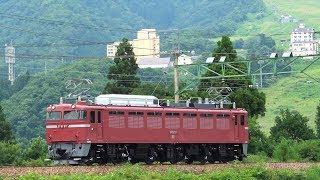 EF81 97 越後湯沢工臨 EH200貨物 2018.7.26