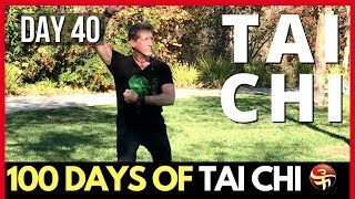 The Best Way to Remember Long Tai Chi Routines | Learn Tai Chi at Home | 100 Days of Tai Chi