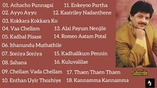 Udit Narayan Tamil Hits | All Time Favourite | Udit Narayan Tamil Songs Collection | Audio Jukebox