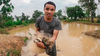 🐟🐠 ตึกปลากินเข้าเที่ยง ຕຶກປາກິນເຂົ້າທ່ຽງຢູ່ນາ Fishing for lunch in farm