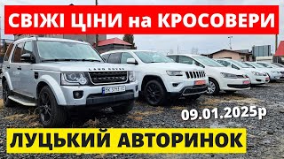 СВІЖІ ЦІНИ НА КРОСОВЕРИ / ЛУЦЬКИЙ АВТОРИНОК / 09.01.25р. #колоритмоторс #автопідбір #кросовери