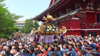 三社祭2017_町内神輿連合渡御_Sanja Festival Local Mikoshi Parade