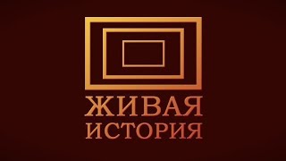 История нашей истории