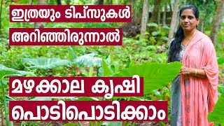 മഴക്കാല കൃഷി പൊടിപൊടിക്കാം | Mazhakala Pachakari Krishi | Monsoon Farming Tips in Malayalam