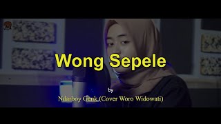 Wong Sepele Ndarboy Genk cover Woro Widowati