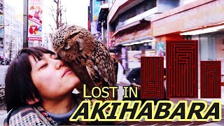 AKIHABARA Japan is AMAZING! | LOST IN JAPAN