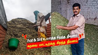 ஊறுகாய் புல்|silage| கறவை மாட்டிற்கு சிறந்த தீவனம்|fat & snf ஐ உயர்த்த சிறந்த தீவனம் #farmbusiness