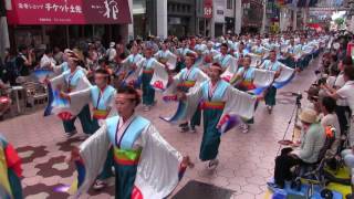 第63回よさこい祭り(2016/8/11)「京町･新京橋「ゑびすしばてん連」」