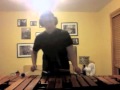 Telephone (Marimba Cover) - Lady Gaga