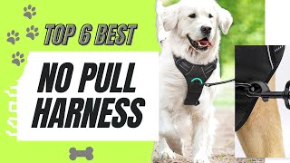 Top 7 Best No Pull Harness Review in 2024