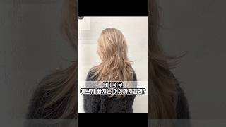 색빠짐도 예쁜 염색하고싶다면 주목!! | #애쉬핑크 #애쉬핑크바이올렛 #애쉬바이올렛 #애쉬브라운 #코토리베이지 #라벤더그레이 #애쉬베이지 #탈색맛집 #퍼스널염색 #성수미용실