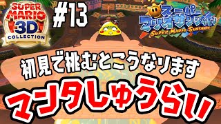 初見で「ふしぎせいぶつマンタしゅうらい」に挑戦すると…【赤マンタがヤバすぎる】スーパーマリオサンシャイン実況　#13