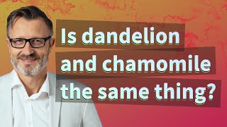 Is dandelion and chamomile the same thing?