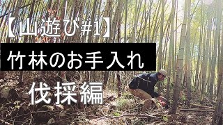 【山遊び】荒れた竹林をお手入れ「伐採編」