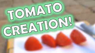 How to make a Tomato!