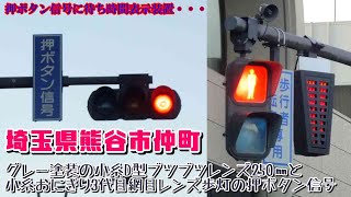 【信号機】埼玉県熊谷市仲町 グレー塗装の小糸D型ブツブツレンズ250㎜と小糸おにぎり3代目網目レンズ歩灯の押ボタン信号