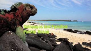 Le Galápagos Arcipelago di Colombo - Equador - UNESCO Patrimonio dell'Umanità