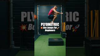 Plyometric Box Jumps For Beginners #plyometrics