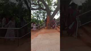 Tirumala temple - Alipiri Steps Gali Gopuram footpaths