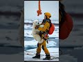 a heartwarming arctic rescue polar bear cub saved from a cave