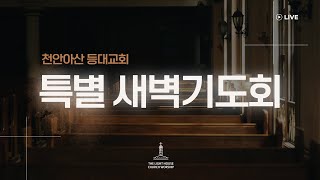 24.11.25 등대교회 특별 새벽기도회