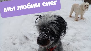 НАС ЗАСЫПАЕТ СНЕГОМ 🙂 СКАЗОЧНЫЙ ЗИМНИЙ ПАРК НОЧЬЮ