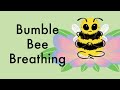 Bumble Bee Breathing