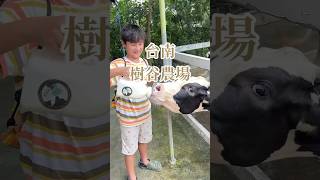 台南景點｜樹谷農場～農場動物種類不少～超近距離觀賞動物～能用奶瓶餵小牛又餵小羊的～太好玩啦！！#親子景點推薦 #胖胖的浣熊