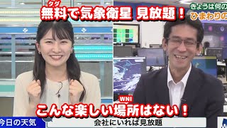 【駒木結衣・山口剛央】ぐっさんが入社当時に感動した話＆ひまわりの受信機の今…（2022/07/14）【ウェザーニュースLiVE】