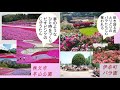 埼玉県立越谷総合技術高等学校_埼玉県pr動画_ショートバージョン