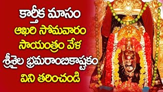 కార్తీక మాసం ఆఖరి సోమవారం శ్రీశైల భ్రమరాంబికాష్టకం విని తరించండి - Srisaila Bramarambika Ashtakam