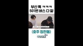 #부산특 501번 버스 어디 가는지 다 알고 있음ㅋㅋㅋ #부산촌놈in시드니