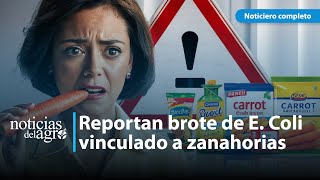 EE.UU. reporta brote de E-Coli ligado a zanahorias ¿Qué Sucede?