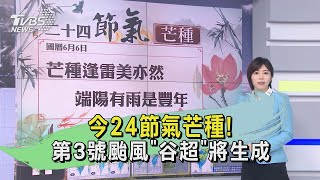 今24節氣芒種!第3號颱風「谷超」將生成｜TVBS新聞 @TVBSNEWS01