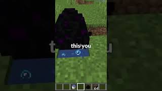 Minecraft dragon egg secret feature...