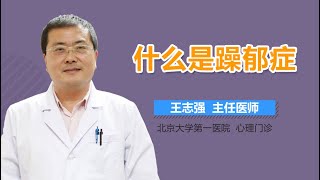 什么是躁郁症 躁郁症是什么意思 有来医生