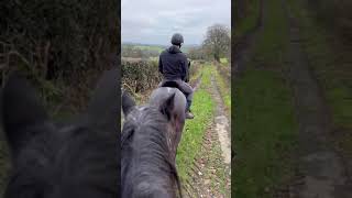 CnG Equine Poppy first hack