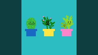 Cacti