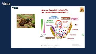 Dr. Xinghua Pan | #Vebleo | Southern Medical University, China