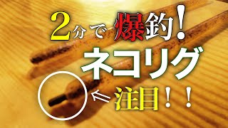 【バス釣り初心者】ネコリグのシンカーは〇〇した方が爆釣！