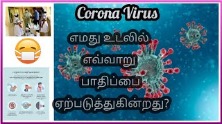 கொரோனா வைரஸ் உடலில் எவ்வாறு தாக்கத்தை ஏற்படுத்துகிறது? |How does Covid 19 affect the body | tamil