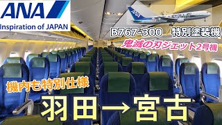 ANA 特別塗装機で行く宮古島