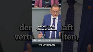 GRÜNE Politik: AHNUNGSLOSE Steuergeldverschwendung !!! #afd #bundestag