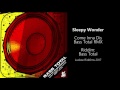 Sleepy Wonder - Come Inna Dis RMX