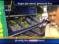 cm chandrababu launches organic food vehicles amaravati