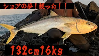 遂に獲った！ロックショアの夢！11kgのクエも登場【ヒラマサ】【平政】【アラ】【スタンディング】