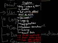 Be Unique Like Singleton! 😎 | Java Design Patterns  #JavaDeveloper #DesignPatterns #SingletonPattern