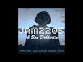 jam2205 u0026 ben dobbertin das gold von morgen live cover