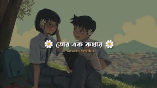 তোর এক কথায়। Tor Ek Kothay । Slowed and Reverb। Bengali Lofi Song। Music Blog