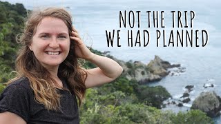 Explore Tiritiri with me!  |  Tiritiri Matangi